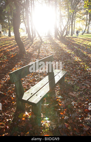 Cirillo Hart Arboretum, Royal Foresta di Dean, nel Gloucestershire. Foto Stock