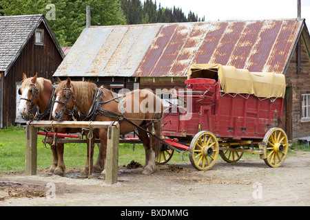 A cavallo il carro di Barkerville città storica, British Columbia, Canada Foto Stock