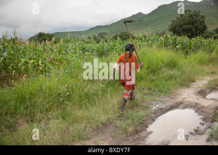 La sig.ra Khabitu alleato Mkude è un agricoltore che vive al di fuori di Iringa, Tanzania Africa Orientale. Foto Stock