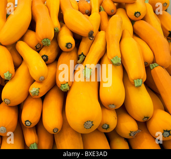 Cesto di zucchine giallo Foto Stock