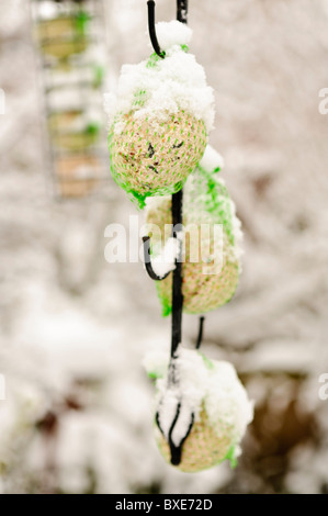 Coperta di neve bird fat alimentatore a sfera Foto Stock