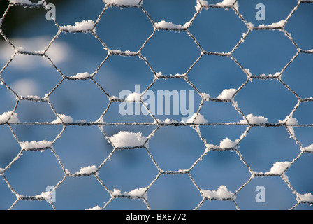 Maglia di filo (filo di pollo) recinto con neve attaccata Foto Stock