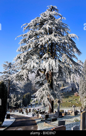 Gravyard coperto di brina e neve Foto Stock