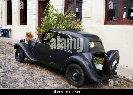 Classico sovradimensionate Citroen Avant trazione auto nella colonia del Sacramanto, Uruguay, fiori piante Foto Stock