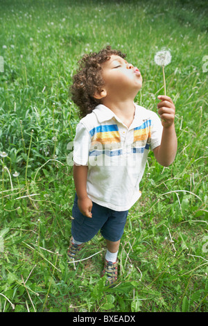 Un giovane bambino soffiando tarassaco seme head Foto Stock