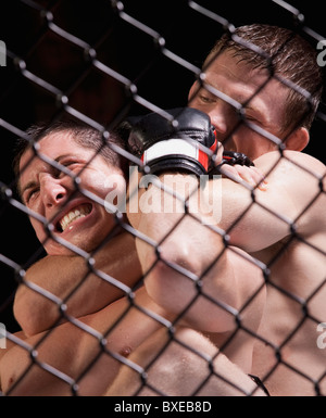 Combattenti di gabbia Foto Stock