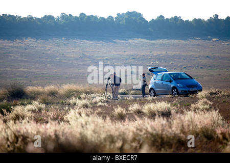 Gli amanti del birdwatching, steppa Catalogna Spagna Foto Stock