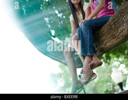 Due ragazze seduta in una struttura ad albero Foto Stock