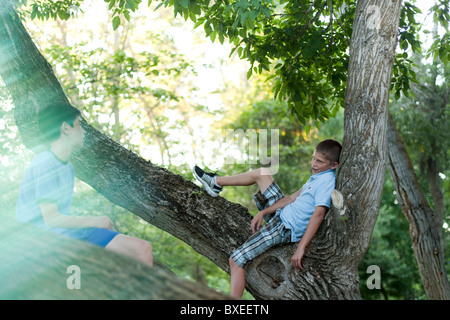 Due ragazzi seduti in una struttura ad albero Foto Stock