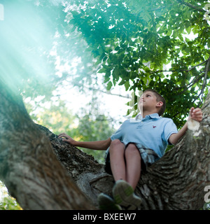 Ragazzo seduto in una struttura ad albero Foto Stock