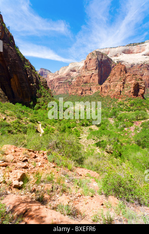 Vista di un canyon all'interno del parco nazionale di Zion Foto Stock