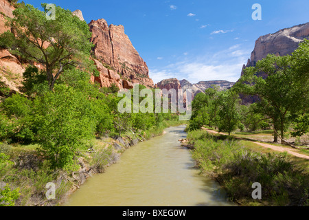 Fiume vergine nel parco nazionale di Zion Foto Stock