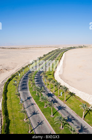 La strada a doppia carreggiata strada fiancheggiata da palme attraverso un deserto Foto Stock