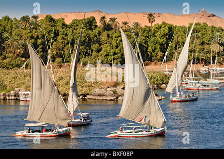 Egitto Aswan Falukas sul Fiume Nilo Foto Stock