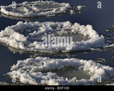 Ice floes drifting sul fiume Elba. Foto Stock