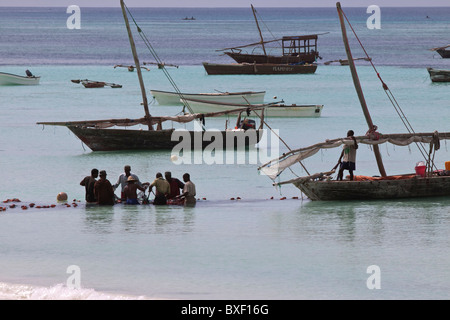 Pescatori tendono le loro reti sulla spiaggia a kizimkazi Tanzania Foto Stock