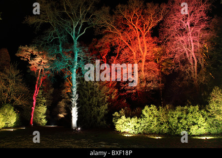 Natale incantato sentiero illuminato a Westonbirt Arboretum, Gloucestershire Foto Stock