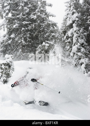 Un libero skierskiing attraverso la neve nei boschi di Zillertall, Austria. Foto Stock