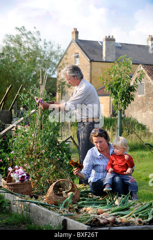 Una madre e suo figlio con un raccolto di fresco cipolle tirato da un letto sollevata in un giardino Inglese comune fiori Farm Regno Unito Foto Stock