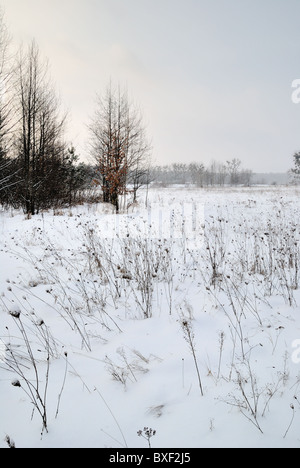 Paesaggio invernale, Ucraina Foto Stock