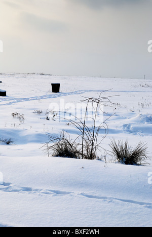 Scena invernale in campagna Foto Stock