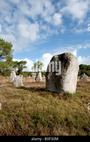 Alignements du Menec pietre permanente a Carnac Morbihan Bretagna Francia Foto Stock