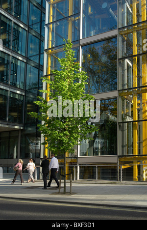 Albero piantato al di fuori " Waterside' progettato da Richard Rogers Partnership e ospita la sede della Marks & Spencer. Foto Stock