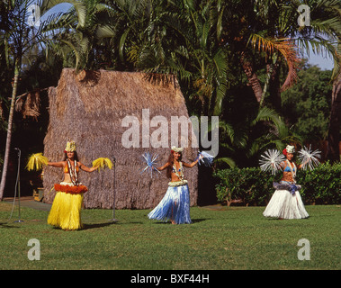 Danzatori Hawaiiani, Kodak Hula mostrano, Honolulu Oahu, Hawaii, Stati Uniti d'America Foto Stock