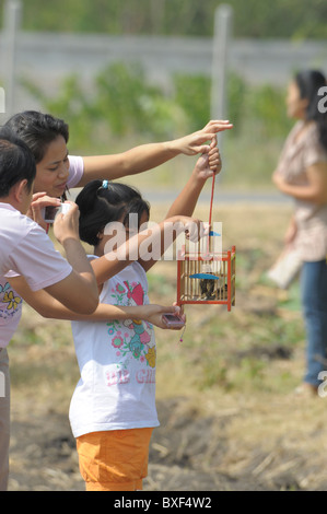 Piccola ragazza tailandese con la madre rilasciando gli uccelli di piccole dimensioni per rendere merito, il girasole flields , Lopburi , Tailandia Centrale Foto Stock