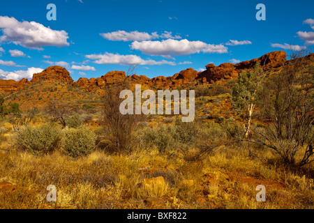 Spettacolari rocce rosse di Kings Canyon in un campo di erba dorata, Alice Springs, Territorio del Nord Foto Stock
