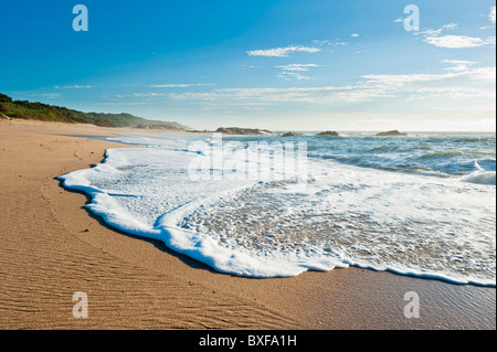 Scena costiere a Southbroom. KwaZulu Natal costa sud. Sud Africa. Foto Stock