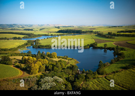 Vista aerea di KwaZulu Natal mostra commerciale di canna da zucchero di fattorie. Vicino a Eshowe. Sud Africa. Foto Stock