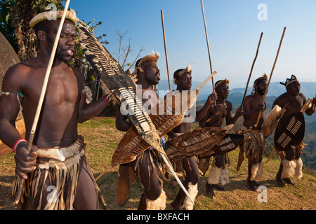 Zulu uomini (warriors) dancing. Villaggio PheZulu. Bothas Hill. KwaZulu Natal. Sud Africa. Foto Stock