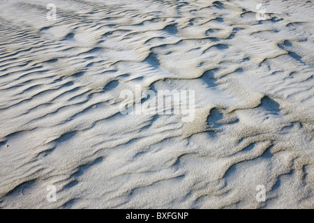 Sabbia bianca sulla spiaggia di sabbia incontaminate, Anna Maria Island, Florida, Stati Uniti d'America Foto Stock