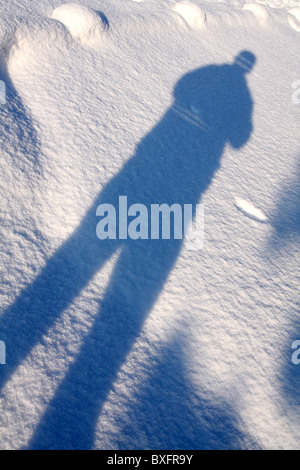 Ombre di neve, bianco-le condizioni con gambe lunghe ombre attraverso la Vergine neve Foto Stock