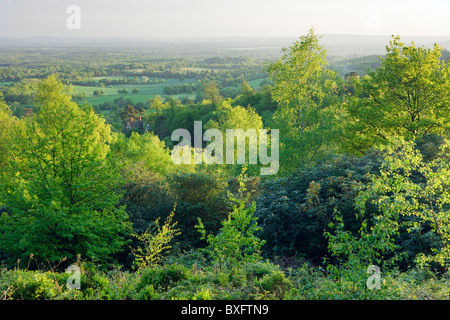 La campagna del Surrey da Holmbury Hill, Surrey, Regno Unito Foto Stock