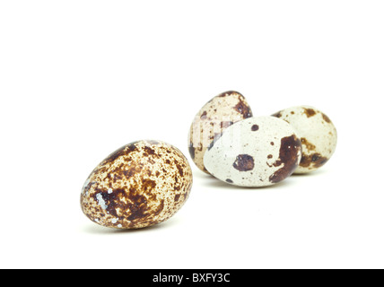 Uovo di quaglia dalla prospettiva bassa isolato su bianco. Foto Stock