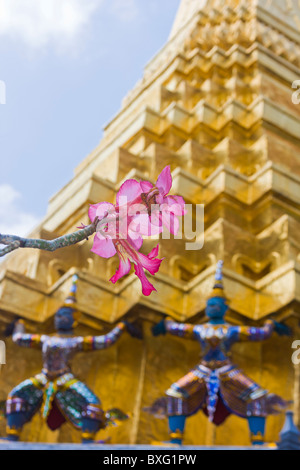 Fiore in fiore contro il guardiano dei demoni (Yaksha) di supporto della base del golden Chedi presso il Tempio del Buddha di Smeraldo, Bangkok Foto Stock