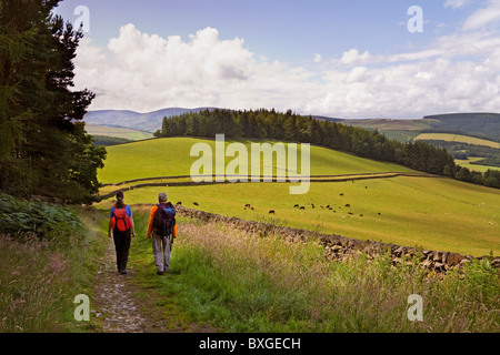 Minchmoor Road, avvicinando Traquair vicino a Innerleithen Foto Stock