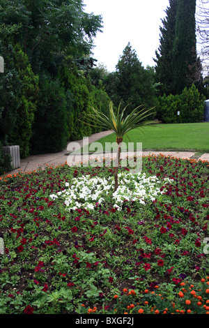 Parco vicino palazzo di Livadia, Crimea Foto Stock