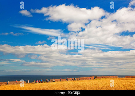 Un Rampicate Club avvicinando Eyemouth sulla Berwickshire Sentiero costiero Foto Stock