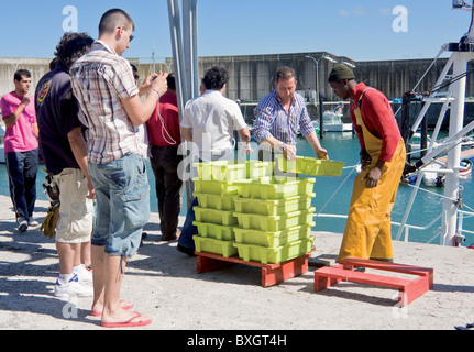 Lastres, Principato delle Asturie, Spagna. È un villaggio di pescatori appartenente al consiglio di Colunga, situato nella zona orientale. Porto di pesca Foto Stock