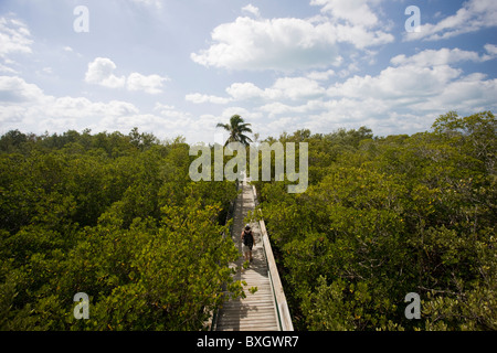 I turisti sul Boardwalk in Everglades, Florida, Stati Uniti d'America Foto Stock