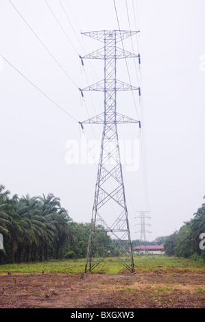 Elettricità pilone, le foto scattate in Malaysia. Foto Stock