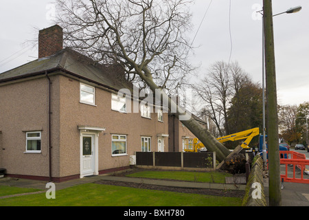 Albero che cade sulla casa, Wirral, Inghilterra Foto Stock