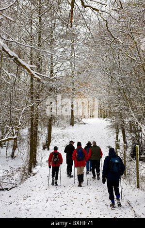 Walkers su una via attraverso una coperta di neve bosco. Foto Stock