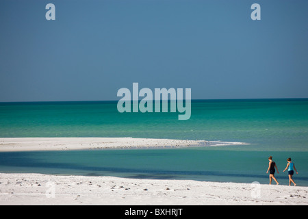 Villeggianti sulla spiaggia di Anna Maria Island, Florida, Stati Uniti d'America Foto Stock