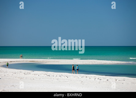 Villeggianti sulla spiaggia del litorale di Anna Maria Island, Florida, Stati Uniti d'America Foto Stock