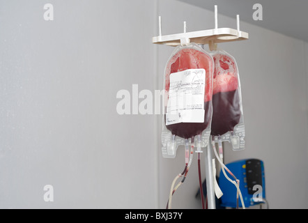 Gli imballaggi trasparenti appese su rack vengono riempiti con il sangue del donatore, spazio di copia Foto Stock