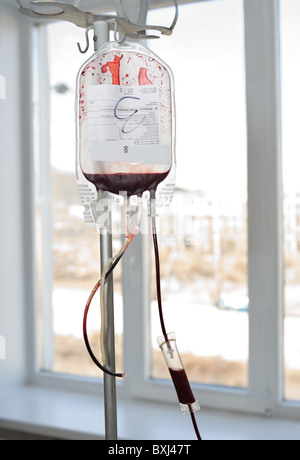 Confezione trasparente appeso sul rack è riempita con il sangue del donatore Foto Stock